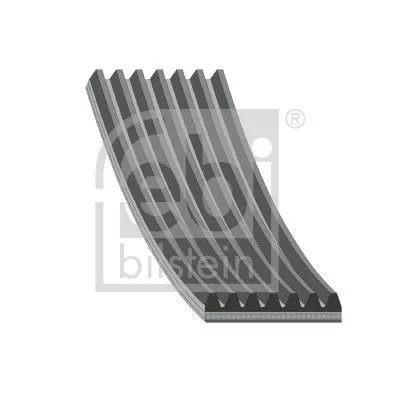 FEBI BILSTEIN 1x V-Ribbed Belt (188439)
