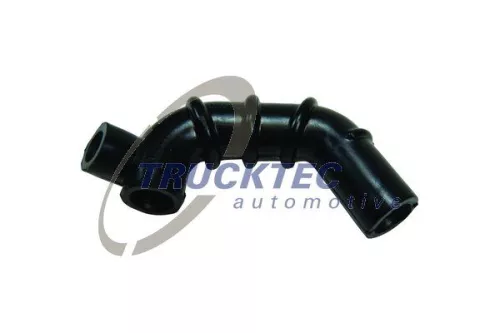 Hose, crankcase ventilation