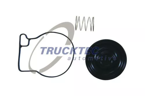 Gasket Kit, timing case