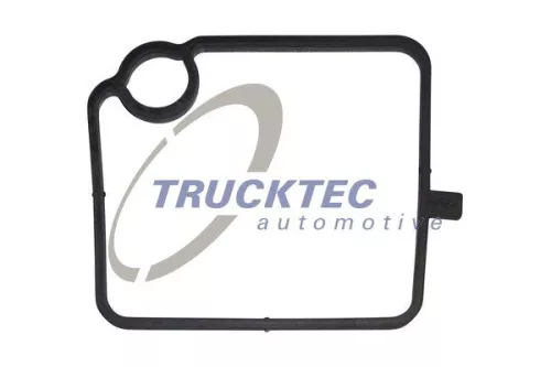 Gasket, crankcase ventilation