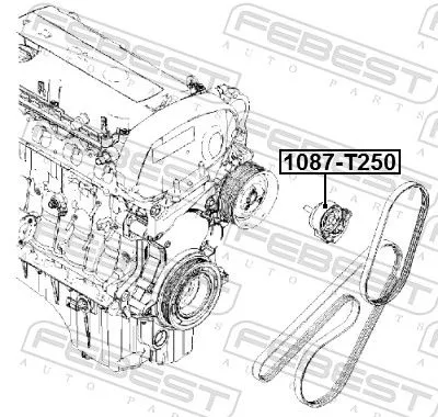 FEBEST Tensioner Pulley, V-ribbed belt (1087-T250)