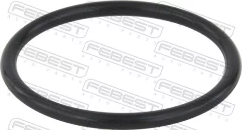 FEBEST Seal Ring, charge air hose (16400-012)