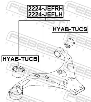 FEBEST Control/Trailing Arm, wheel suspension (2224-JEFRH)
