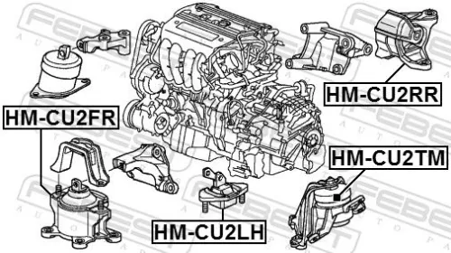 FEBEST Mounting, engine (HM-CU2LH)