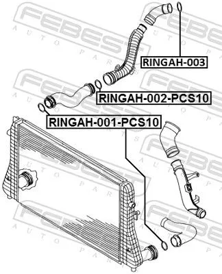 FEBEST Seal Ring, charge air hose (RINGAH-001-PCS10)