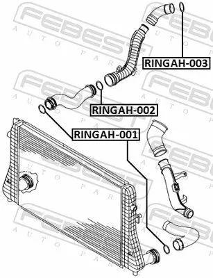 FEBEST Seal Ring, charge air hose (RINGAH-002)