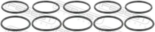 FEBEST Seal Ring, charge air hose (RINGAH-029-PCS10)