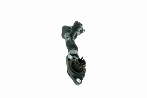 VAICO Hose, crankcase ventilation (V20-2329)