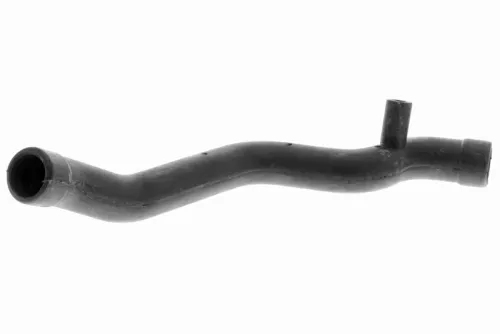 Hose, cylinder head cover ventilation