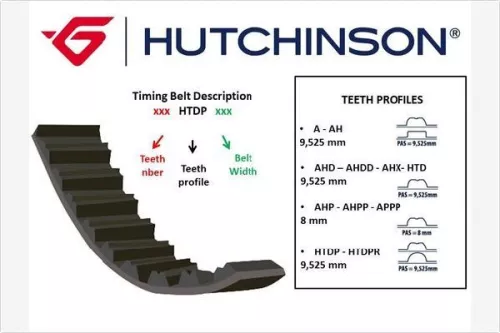 Timing Belt