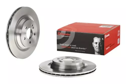 BREMBO Brake Disc (09.A818.10)