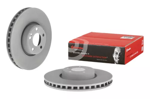BREMBO Brake Disc (09.D528.13)