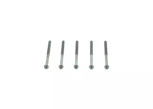 BOSCH Screw (1 123 429 125)