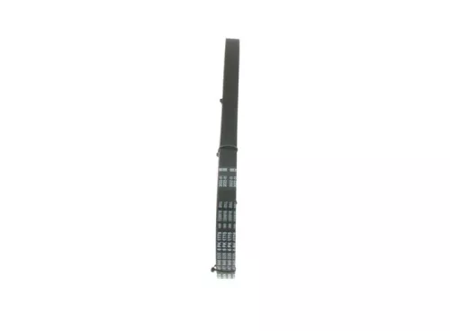 BOSCH V-Ribbed Belt (1987946035)