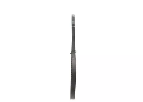 BOSCH V-Belt (1 987 947 504)