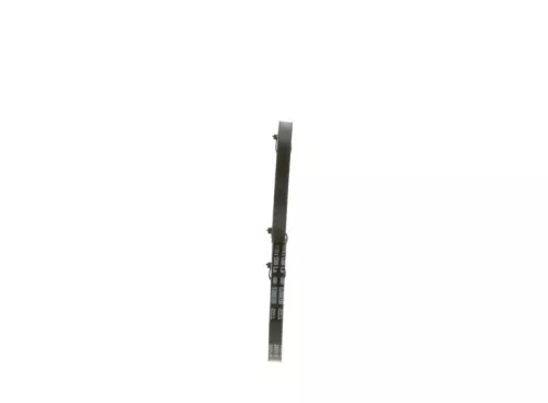 BOSCH V-Belt (1 987 947 646)
