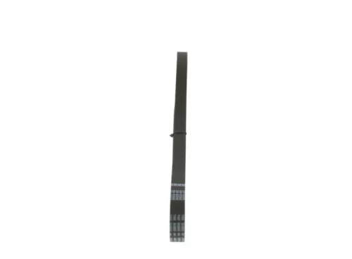 BOSCH V-Ribbed Belt (1987947840)