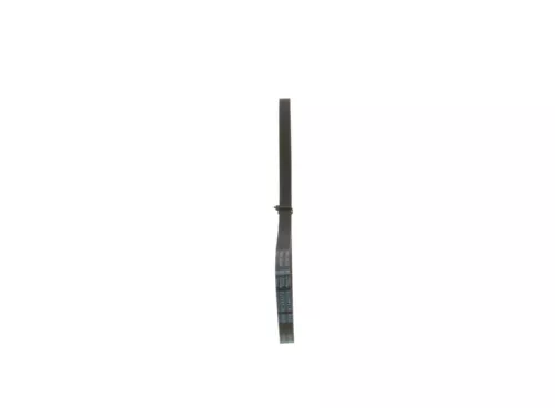 BOSCH V-Ribbed Belt (1987947895)