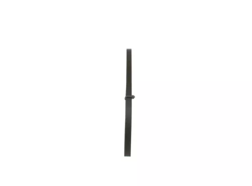 BOSCH V-Ribbed Belt (1987947970)