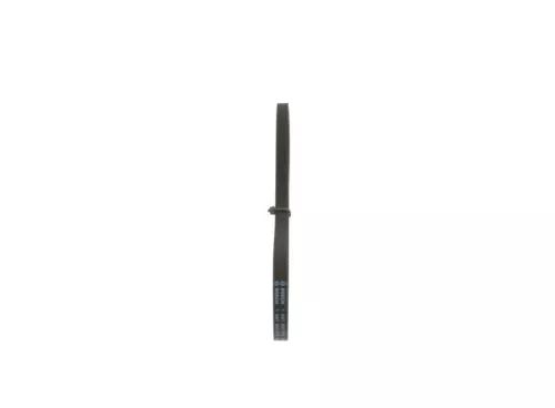 BOSCH V-Ribbed Belt (1987947970)
