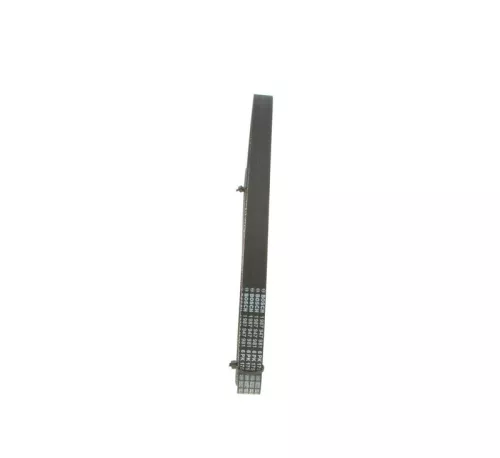 BOSCH V-ribbed Belt (1987947981)