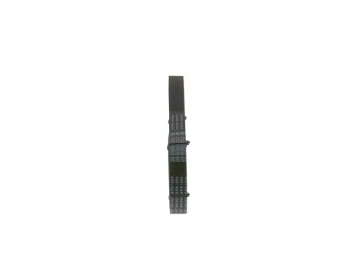 BOSCH V-Ribbed Belt (1987948452)