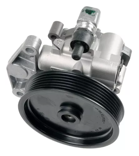 BOSCH Hydraulic Pump, steering (K S00 000 731)
