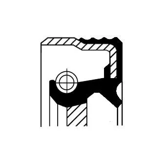 CORTECO Shaft Seal, crankshaft (12016489B)