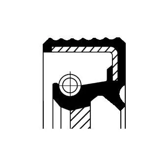 CORTECO Shaft Seal, crankshaft (15510081)