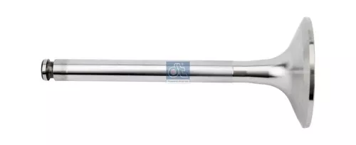 DT Spare Parts Intake Valve (4.61224)