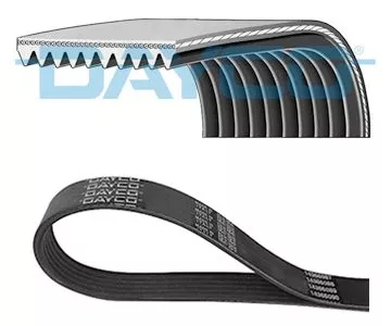 DAYCO V-Ribbed Belt (10PK1487HD)