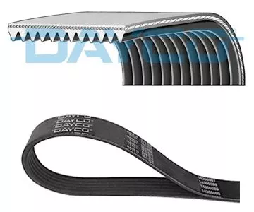 DAYCO V-Ribbed Belt (11PK2871HD)
