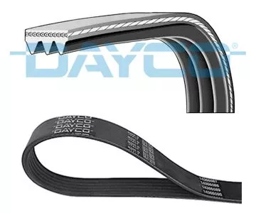 DAYCO V-Ribbed Belt (3PK865)