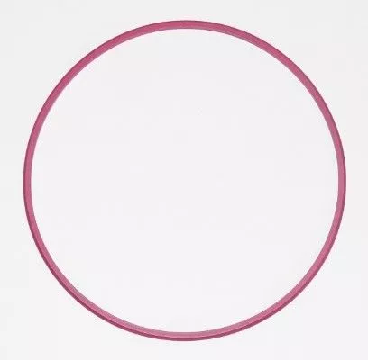 ELRING Seal Ring (003.881)
