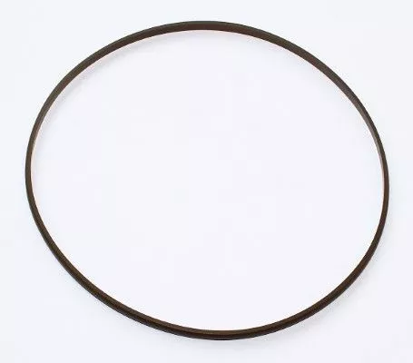 ELRING Seal Ring (003.900)