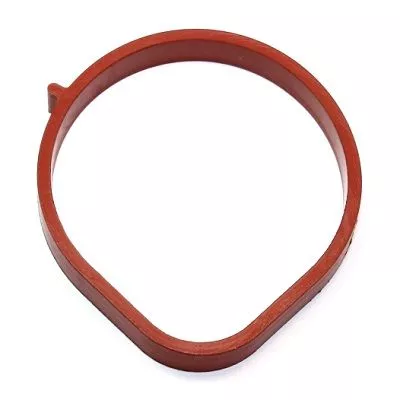 ELRING Gasket, intake manifold (445.220)