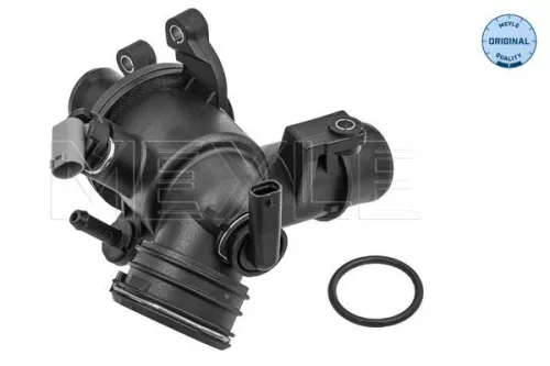 Thermostat, coolant
