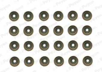 PAYEN Seal Set, valve stem (HR5121)
