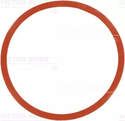 VICTOR REINZ Gasket, intake manifold (71-77546-00)