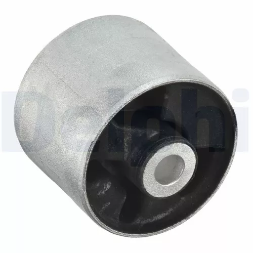 DELPHI Mounting, control/trailing arm (TD1118W)