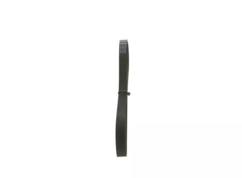 BOSCH V-Ribbed Belt (1987947938)