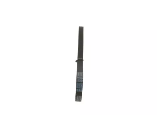 BOSCH V-Ribbed Belt (1987947938)