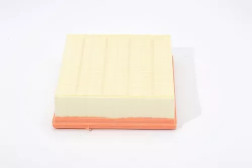 BOSCH Air Filter (1457429870)