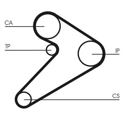 Timing Belt