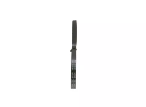 BOSCH V-Ribbed Belt (1987947891)