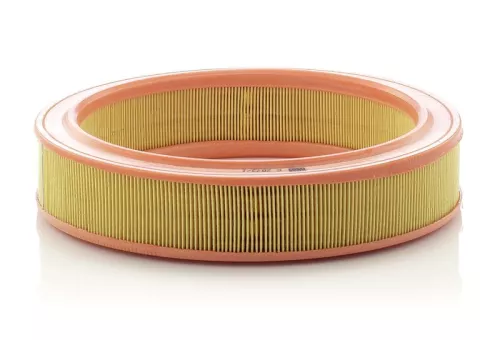 MANN-FILTER Air Filter (C2873/1)
