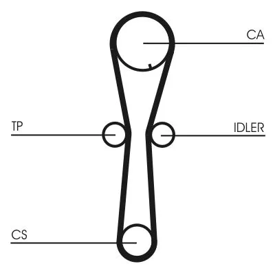 Timing Belt