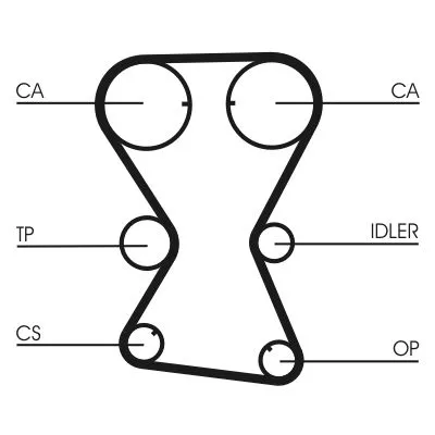 Timing Belt