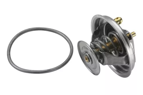 BorgWarner (Wahler) Thermostat, coolant (4123.80D)