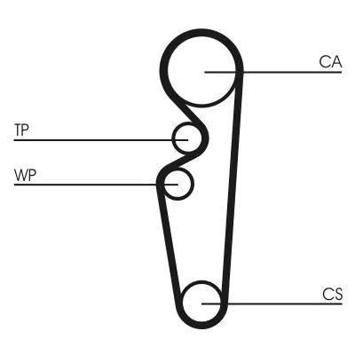 Timing Belt